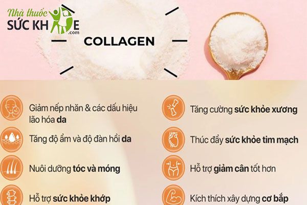 Collagen có tác dụng tốt cho cả sức khỏe và sắc đẹp