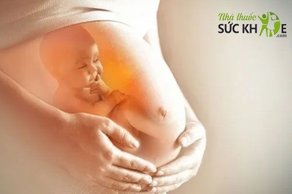 Sữa hạt cho mẹ bầu giúp mẹ khỏe, thai nhi phát triển toàn diện