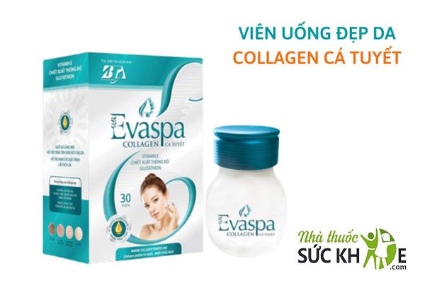 Collagen cá tuyết Collagen Evaspa