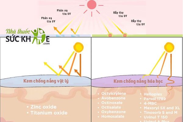 Kem chống nắng Úc có cả vật lý, hóa học và vật lý lai hóa học