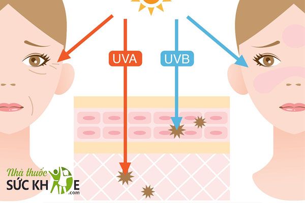 Kem chống nắng Sunblock nảo vệ da trước những tác hại của tia UV bền vững từ 8-10j