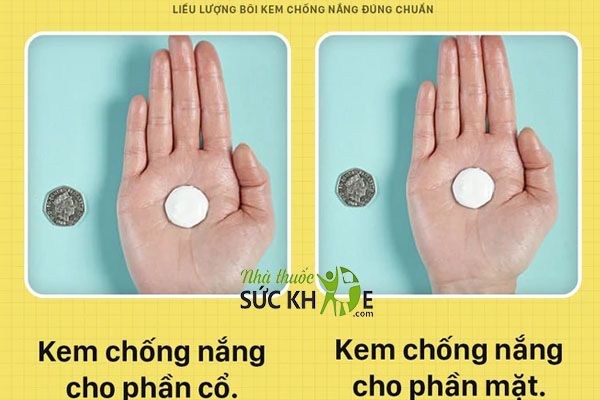Lượng kem chống nắng vừa đủ cho từng vùng da