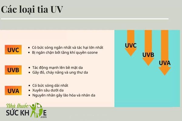 Kem chống nắng SPF 50 có khả năng chống nắng tốt, hoạt động bền bỉ