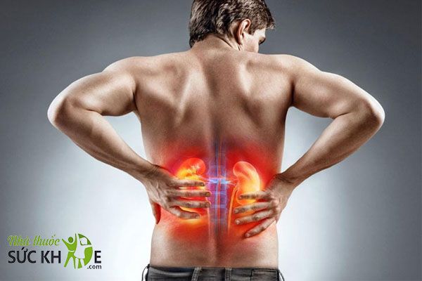 Không sử dụng Ostelin cho người bị bệnh thận