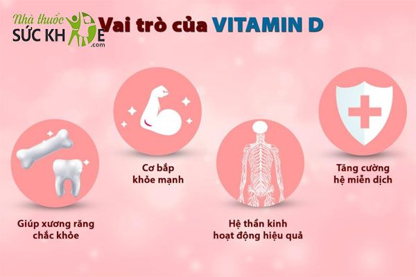 Vitamin D hỗ trợ cơ thể hấp thụ canxi, phát triển xương khớp chắc khỏe