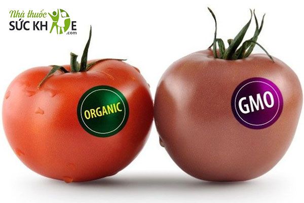 Vitamin giúp trẻ ngủ ngon không chứa thành phần biến đổi gen