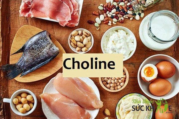 Choline hỗ trợ phát triển não bộ và ngăn ngừa dị tật bẩm sinh