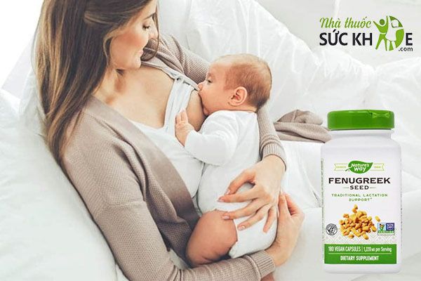 Viên uống Fenugreek Seed Nature’s Way cho mẹ sau sinh