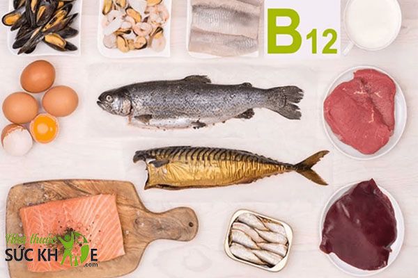 Vitamin B12 tăng sinh máu