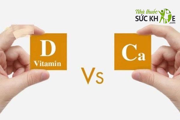 Vitamin D hỗ trợ tăng khả năng hấp thụ canxi