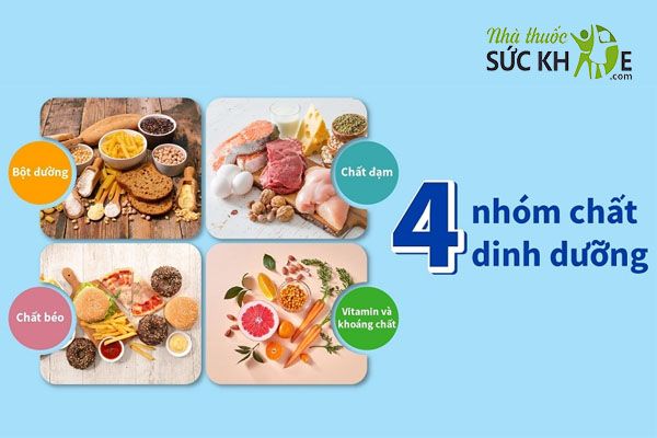 Bổ sung đủ 4 nhóm dinh dưỡng cho cơ thể