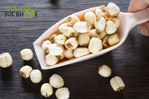 Trà tăng cân từ hạt sen