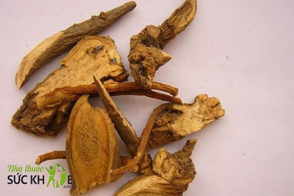 Trà khổ sâm