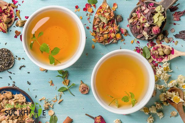 Trà thảo mộc tăng cân có nguồn gốc từ thiên nhiên