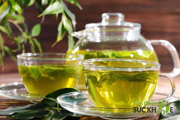 Uống nước trà xanh mỗi ngày