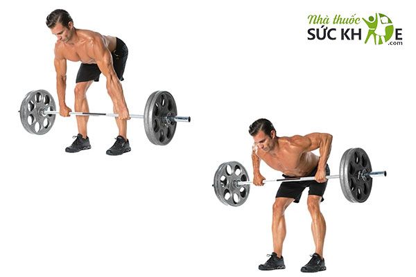 Động tác Bent Over Row