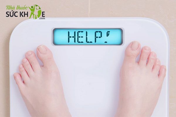 Thực đơn tăng cân cho nữ giúp chị em tăng cân lành mạnh, an toàn