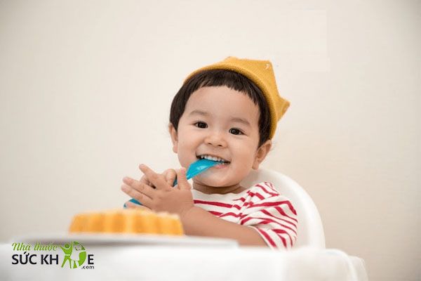 Sữa bột tốt nhất cho trẻ 1 tuổi hỗ trợ hệ tiêu hóa