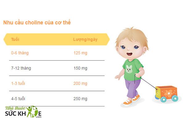 Choline là thành phần không thể thiếu trong sữa bột tăng cân cho bé 1 tuổi