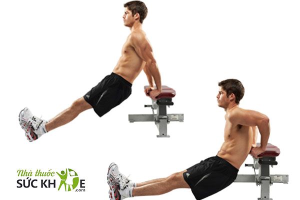 Tập Bench Dips
