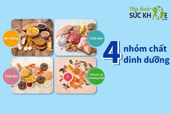 Bổ sung đủ 4 nhóm dinh dưỡng mỗi ngày