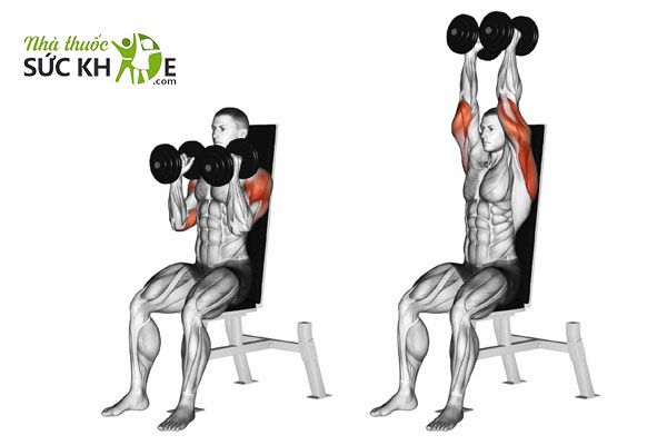 Bài tập phát triển cơ thân trên