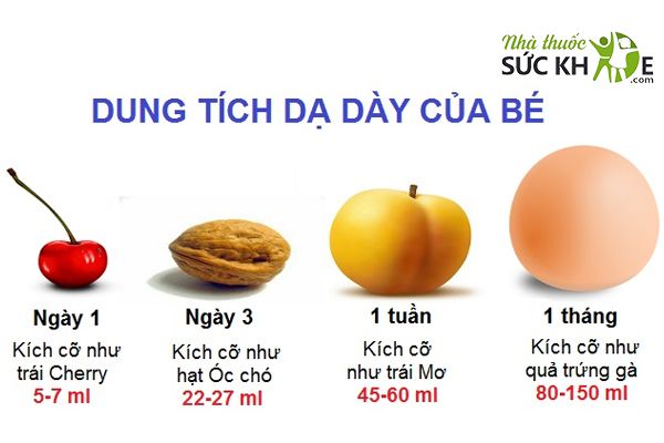 Kích thước dạ dày của trẻ trong tháng đầu đời