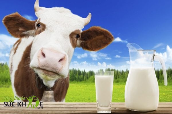 Với trẻ bị dị ứng đạm bò, mẹ nên thay thế bằng sữa dê hoặc sữa từ thực vật cho bé
