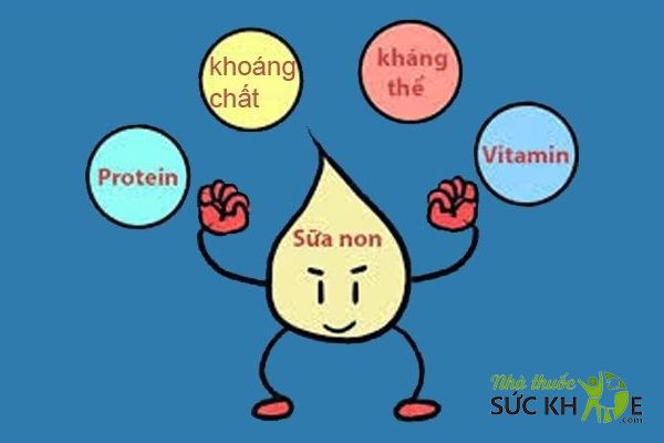 Thành phần chính có trong sữa non cho người lớn