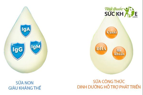 Sữa non chứa hàm lượng dinh dưỡng dồi dào
