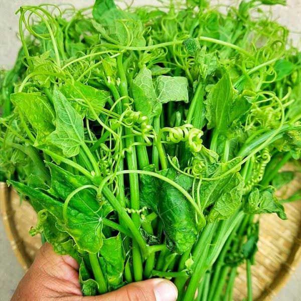 Cách nhận biết rau bị phun thuốc “ngậm hóa chất” cần né xa