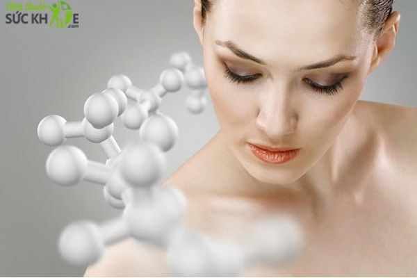 Tác dụng của collagen tươi