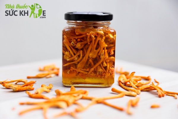 Đông trùng hạ thảo ngâm mật ong phòng bệnh hiệu quả