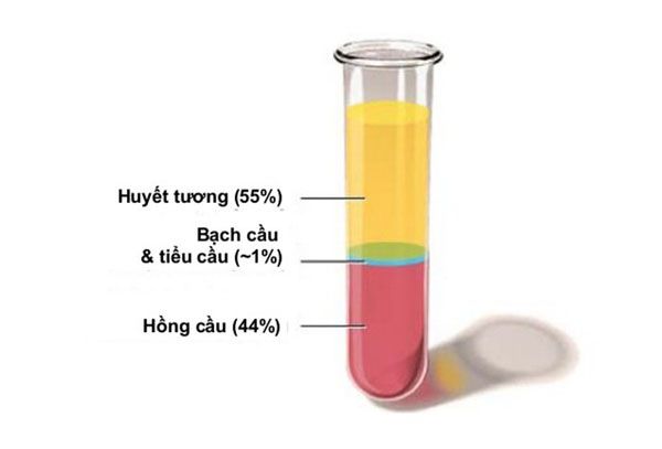 Huyết tương l&agrave; g&igrave;?