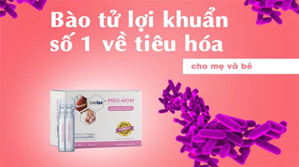 Th&agrave;nh phần của b&agrave;o tử lợi khuẩn Preg-Mom