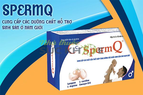 Th&agrave;nh phần của vi&ecirc;n uống SpermQ tăng khả năng thụ thai hiệu quả