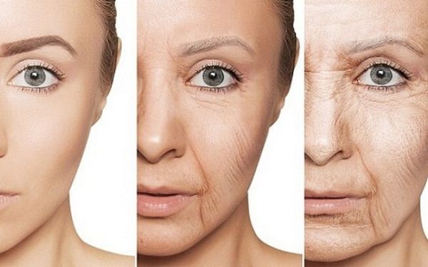 Tỉ lệ nghịch với độ tuổi, c&agrave;ng gi&agrave; Elastin c&agrave;ng giảm