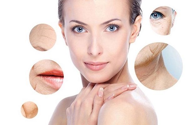 Do l&atilde;o h&oacute;a xảy ra n&ecirc;n Elastin giảm dần