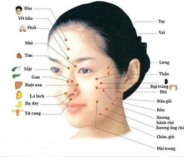 Vị tr&iacute; mọc mụn tr&ecirc;n mặt cảnh b&aacute;o về t&igrave;nh trạng sức khỏe