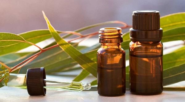 C&aacute;ch trị sưng m&ocirc;i bằng dầu tr&agrave;m tr&agrave;
