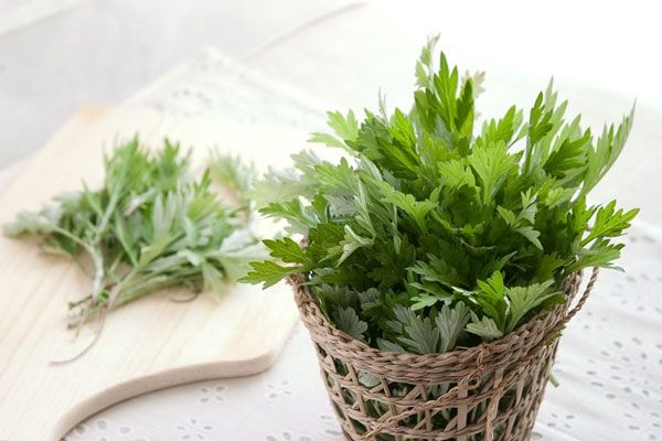 x&ocirc;ng mặt l&agrave;m đẹp da bằng ngải cứu
