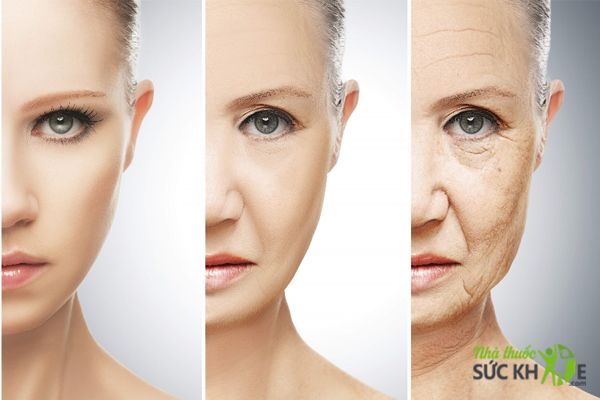 Collagen l&agrave; dưỡng chất thiết yếu cho l&agrave;n da khỏe mạnh, ngăn ngừa l&atilde;o h&oacute;a