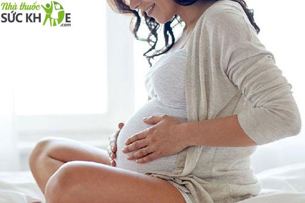 Phụ nữ mang thai kh&ocirc;ng n&ecirc;n uống mủ tr&ocirc;m, bột mủ tr&ocirc;m