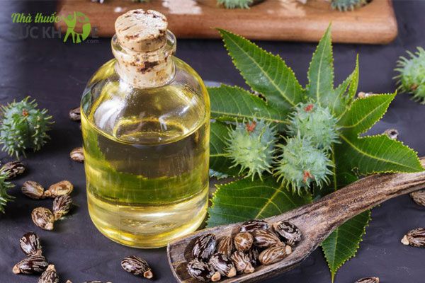 C&aacute;ch x&oacute;a nốt ruồi bằng tỏi v&agrave; dầu thầu dầu