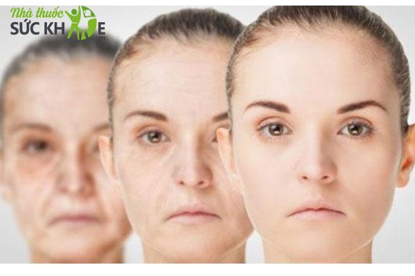 Tinh dầu hoa anh thảo gi&uacute;p c&acirc;n bằng nội tiết tố phụ nữ
