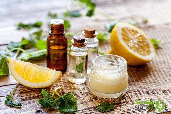 Kem dưỡng ẩm tốt cho da hỗn hợp thi&ecirc;n dầu c&oacute; m&ugrave;i hương tự nhi&ecirc;n