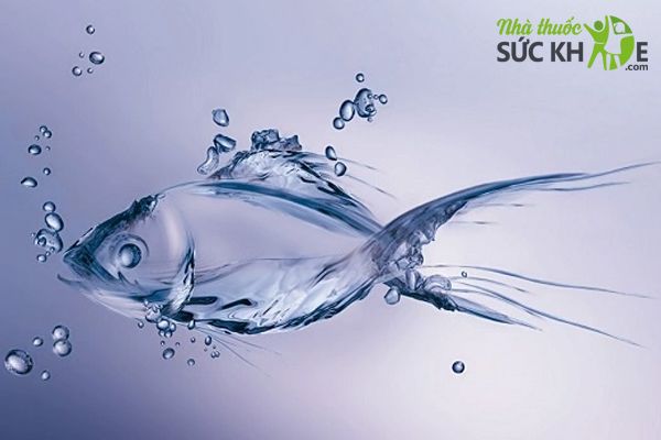 Collagen từ da c&aacute;