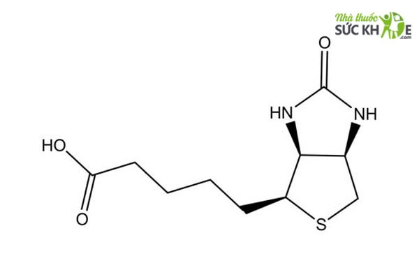 Biotin