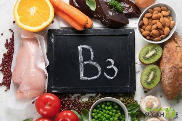 Vai tr&ograve; của Vitamin B3
