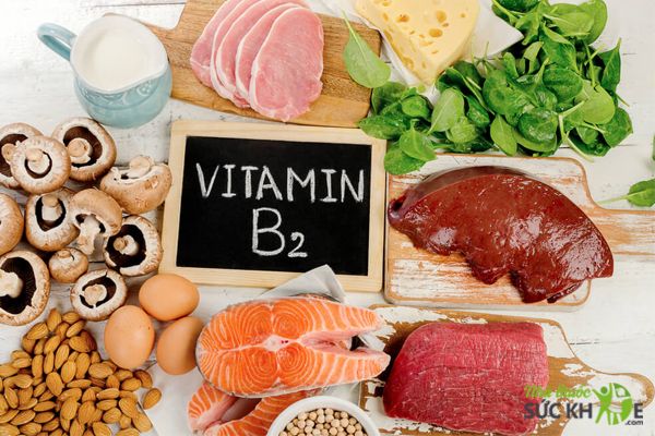 Vai tr&ograve; của Vitamin B2